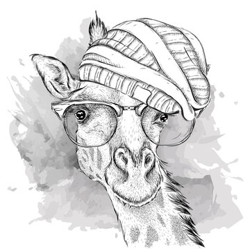 Hand giraffe raccoon in a hat. Vector illustration