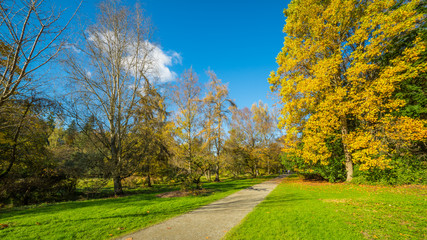 Washington park arboretum, Autumn