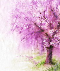 Obraz na płótnie Canvas Flowering Sakura tree.