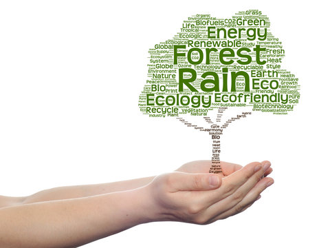 Conceptual ecology tree word cloud