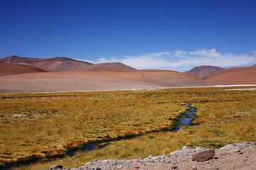 Atacama desert