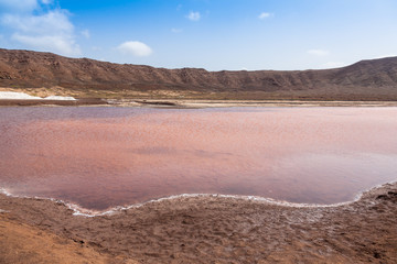 Salt marsh of Salinas  in Sal Cape Verde - Cabo Verde Islands