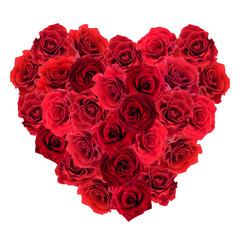 Obraz na płótnie Canvas Valentines Day heart made of red roses isolated on white