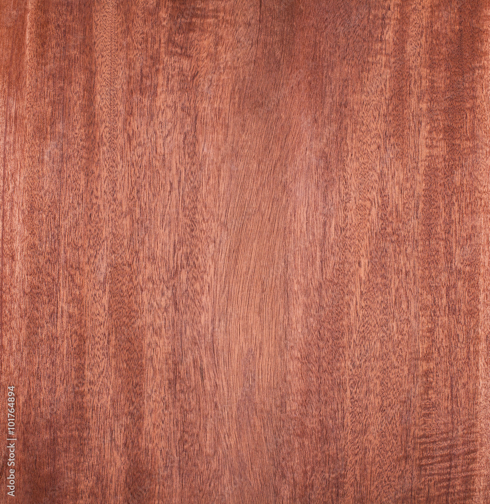 Wall mural mahogany, wood texture