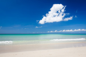 Fototapeta na wymiar Paradise sand beach on sunny day