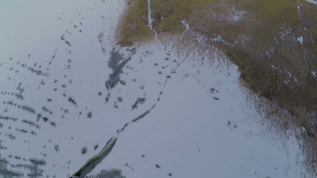 AERIAL, flight over frozen lake with flock of birds in rural countryside