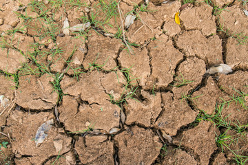 Cracks in the dried soil in arid season - soil arid , season water shortage
