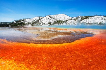 Grand Prismatic Spring  - Yellowstone National Park, Wyoming