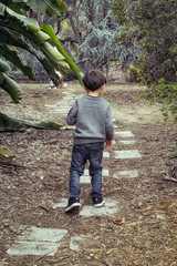 Boy Walking Away Along Path