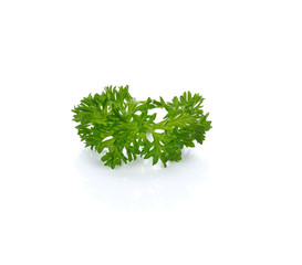 fresh parsley Isolated on white background