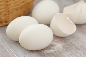 White chicken eggs