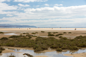 Beach Playa de Sotavento, Canary Island Fuerteventura, Spain