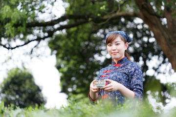 asian pretty tea-picking girl in plantation