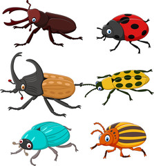 Cartoon funny beetle collection 