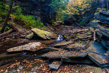 Fall on a small stream near Ithaca, NY