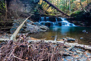 Waterfall in autumn on a small stream near Ithaca, NY