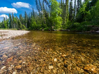 Foto op Canvas North Fork of the Chena River © troutnut