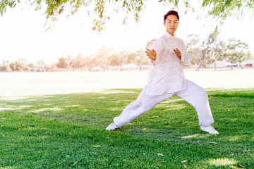 Handsome man practicing thai chi