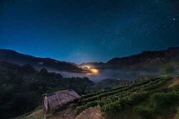 Tea plantation landscape on night with Milky way galaxy  at Doi Ang Khang , Chiang Mai, Thailand
