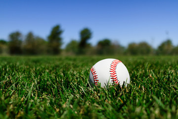 Baseball at a Field in California