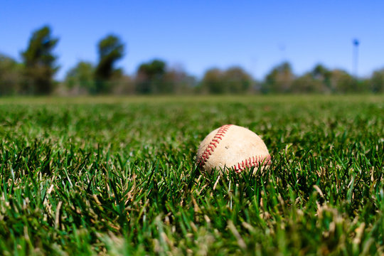 Baseball at a Field in California