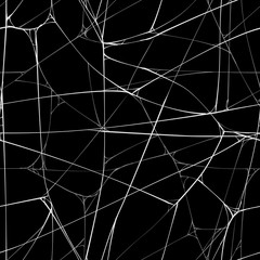 Seamless background with web of spider.