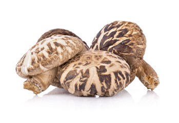 Dried shiitake mushroom