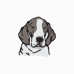 Labrador Dog Vector Illustration