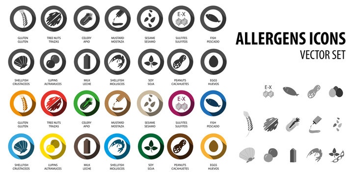 Food allergens bubble icons