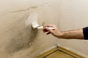 Mold and dampness. Painting the wall with protective material, to protect it from the mold.

