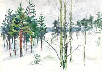 watercolor painting of a winter forest