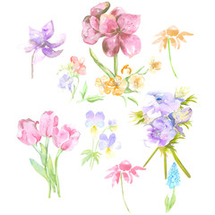 Obraz na płótnie Canvas Flowers Set