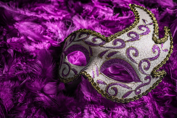 Female carnival mask