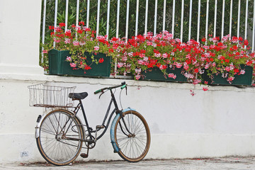 Fototapeta na wymiar vélo abandonné