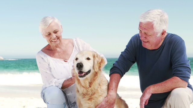 Old retired couple with dog