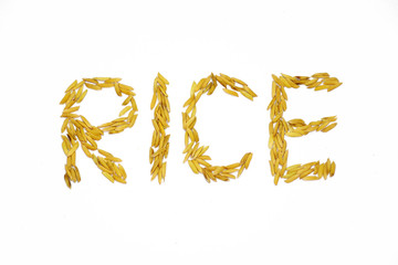 Raw jasmine rice, seed, put in word 