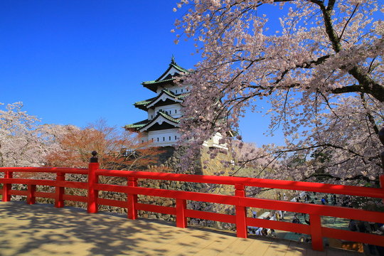 青森県　弘前桜祭り