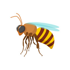 Bee cartoon icon 