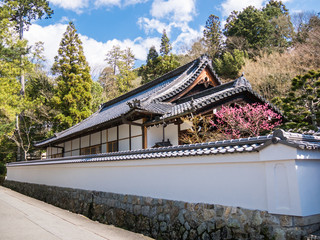Obraz premium Kyoto