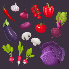 Set of fresh vegetables. Vector illustration.