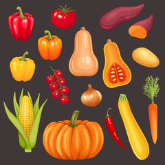 Set of fresh vegetables. Vector illustration.