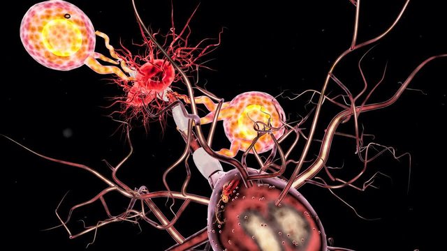 Supportive tissue of the nervous system. Neuron structure. Neuron, astrocyte (glial cell), oligodendrocytes, axon. 3D animation 