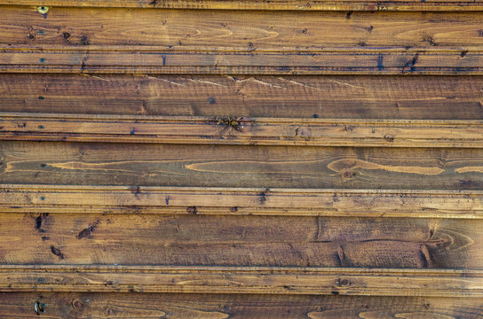 Yellow Wood Texture