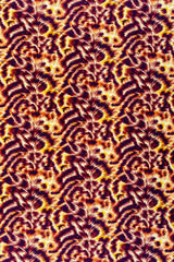 texture of print fabric striped leopard