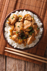 Japanese oyakodon and rice in a bowl. vertical top view
