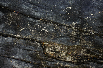 Grungy cracked wood by closeup textured background