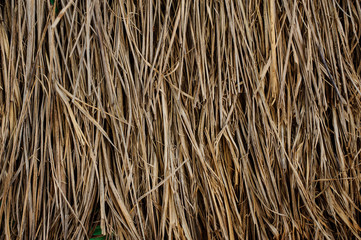 Dry straw macro shot. Background Texture