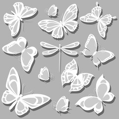 butterflies design