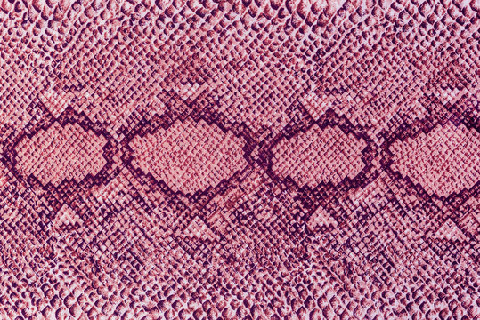 texture of print fabric striped snake leather