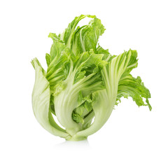 Fresh green mustard on white background